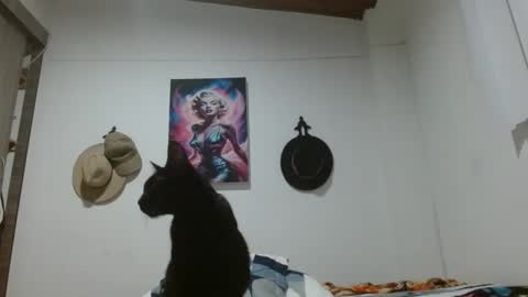 Crystal Blaze online show from 03.17.26