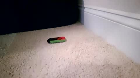 ctcboyy online show from 11.04.25