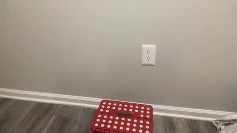 BlacTrojan OF online show from 02.04.26