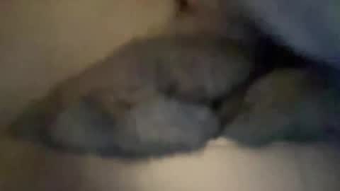 cuckgriff23 online show from 04.28.26