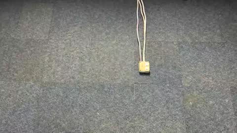 Brian online show from 12.03.25