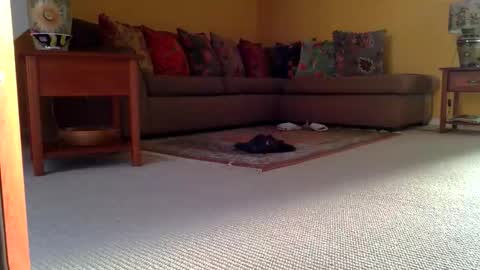 cumonherguys online show from 11.08.25