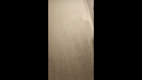 cumplay79 online show from 01.19.26