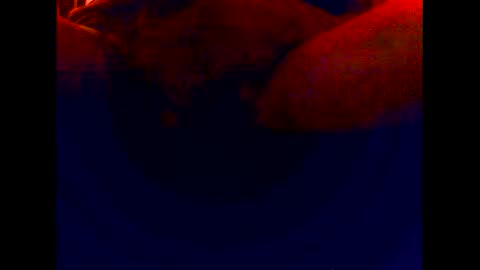 Snapshot of cuntgulper1286 chatting on 12.06.24 cuntgulper1286 online show from 12.06.24