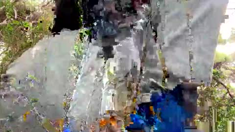 Curioso 965 online show from 11.25.25