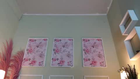 DANI online show from 11.20.25