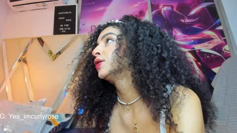 Rose online show from 12.20.24