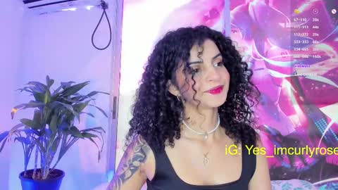 Rose online show from 02.26.25