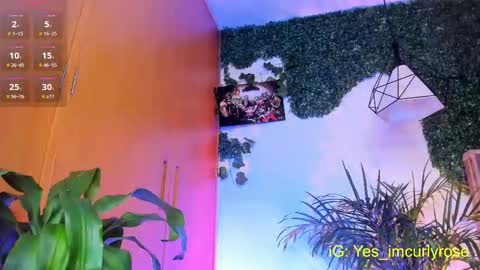 Rose online show from 09.24.25