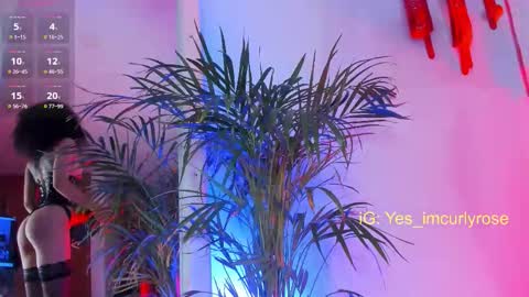 Rose online show from 11.22.25