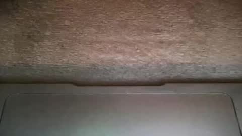 ALAN online show from 11.20.25