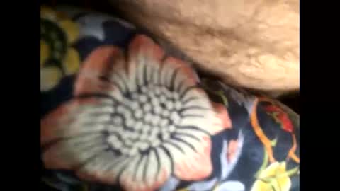 Steve online show from 01.20.25