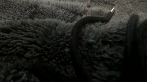 Steve online show from 01.23.25