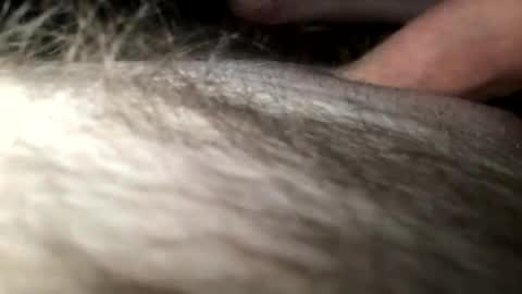 Steve online show from 01.28.25