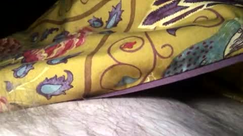 Steve online show from 02.10.25