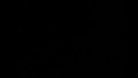 Steve online show from 02.11.25