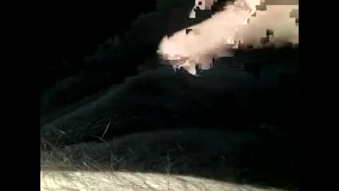 Steve online show from 02.11.25