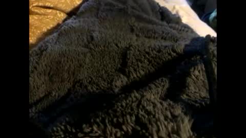 Steve online show from 03.02.25