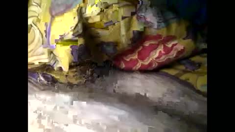 Steve online show from 03.04.25