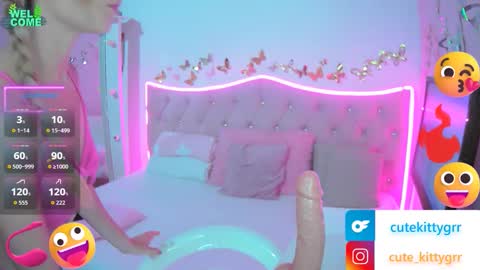 Kitty online show from 02.18.26