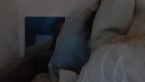 Snapshot of cutekattie chatting on 12.18.24 cutekattie online show from 12.18.24