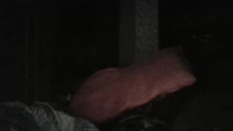 Snapshot of cutekattie chatting on 02.25.26 cutekattie online show from 02.25.26