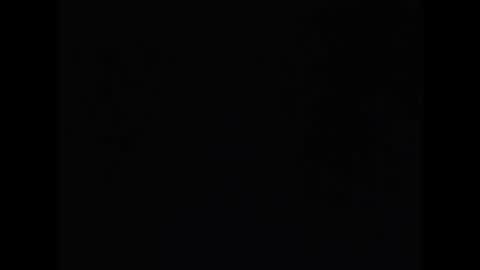 Neil Taylor online show from 11.20.25