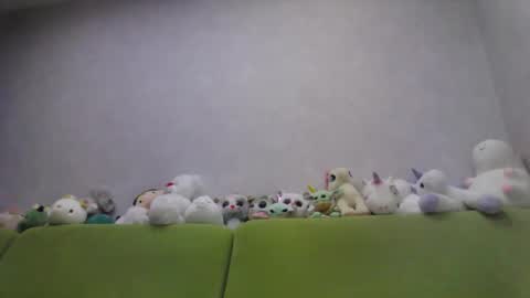 Chloe online show from 10.10.25