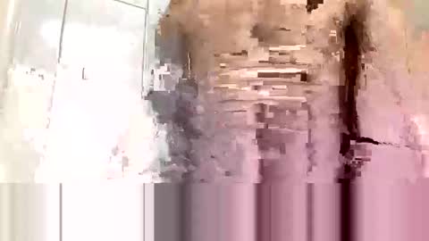 Snapshot of cvc2025 chatting on 11.10.25 cvc2025 online show from 11.10.25