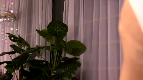 Ivy online show from 07.03.26