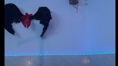 dabria_luxe online show from 07.12.26