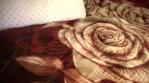 Snapshot of dad_tothesehoes chatting on 01.01.25 dad_tothesehoes online show from 01.01.25