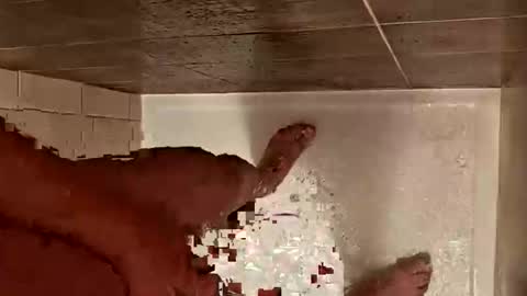 Snapshot of daddycoolm chatting on 10.29.25 LetsHaveFunTogether online show from 10.29.25