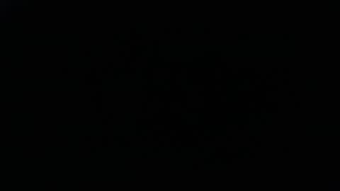 DDick online show from 11.16.25