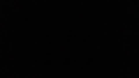 Ray Stevens Jr online show from 12.23.24