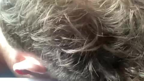 Snapshot of daddyswede23 chatting on 04.09.26 daddyswede23 online show from 04.09.26