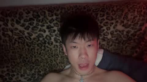 daggerpapi online show from 05.03.26