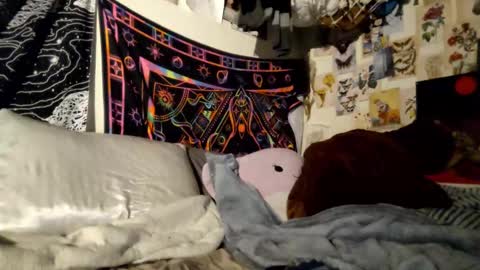 DaintyDarling online show from 02.21.25