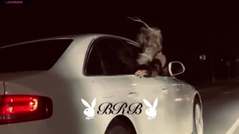 dakotaajohnnson online show from 10.20.25