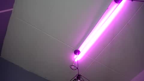     online show from 01.28.25