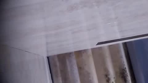 Dalila online show from 09.18.25