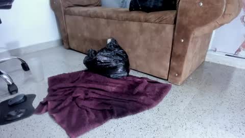 Snapshot of danaarey chatting on 02.05.25 Danaa Rey online show from 02.05.25