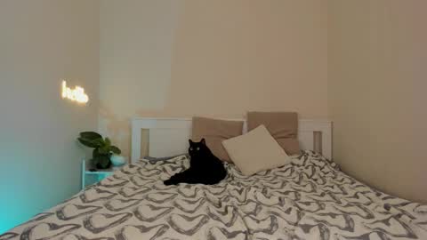 Dana online show from 12.01.25