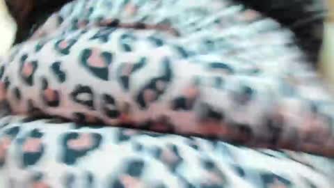 danajhonson online show from 04.16.26