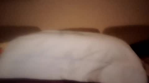 Snapshot of dani225812 chatting on 09.18.25 Dani225812 online show from 09.18.25