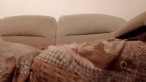 Snapshot of dani225812 chatting on 11.15.25 Dani225812 online show from 11.15.25