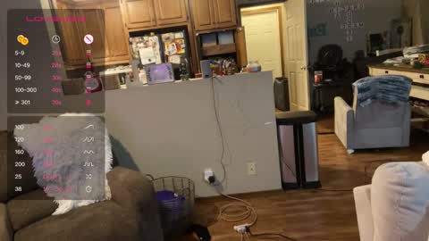 Snapshot of danidragon69 chatting on 12.22.24 Dani Dragon online show from 12.22.24