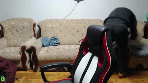 Snapshot of daniel_padalecki chatting on 02.09.25 Daniel online show from 02.09.25