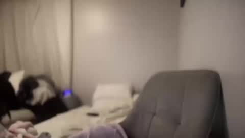 daniellealexa online show from 10.08.25