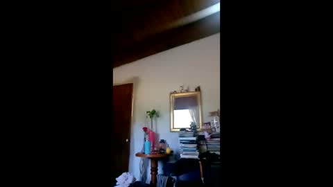 danielledelrey online show from 02.03.26